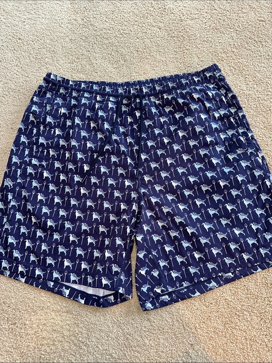 Birddogs Other - Birddogs swim trunks